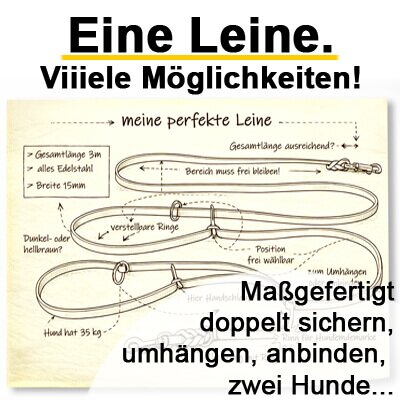 Eine Zeichnung einer Lederleine mit zwei Karabinern und verschiedenen Ringen