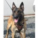 Geschirr aus Fettleder mit GRIFF u. BRUSTPLATTE Gr.1