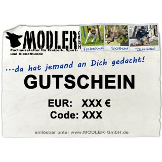 Ein Gutschein von Modler