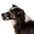Ein Hund mit einem schwarzen Giftköderschutz / Giftködermaulkorb