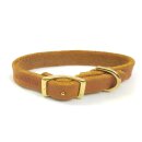 Ein leichtes Halsband aus Fettleder für kleine Hunde mit Wiegeschnalle