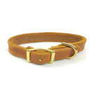 Ein leichtes Halsband aus Fettleder für kleine Hunde mit Wiegeschnalle