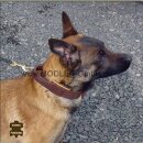 Fettleder Halsband - Hetzhalsband "MAMMUT" mit Griff / 70er