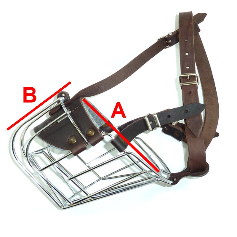 junghund trockenfutter Trockenfutter - Welpe und Junior