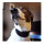 Ein Hund mit angelegtem Windhundehalsband in schwarz