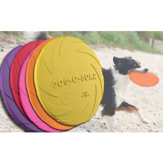 Eine orange Dog Disc / Frisbee