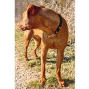 Fettleder Flechthalsband "BRAIDER CHAIN" mit Zugstop, MESSING