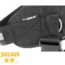 Ein braun-weißer Hund, der ein schwarzes Julius K9 Führgeschirr trägt